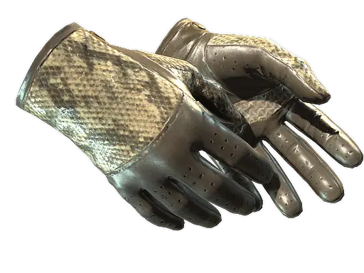 Driver Gloves | Diamondback