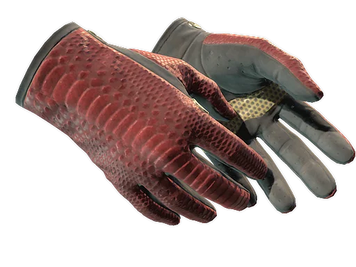 Driver Gloves | Dragon Fists
