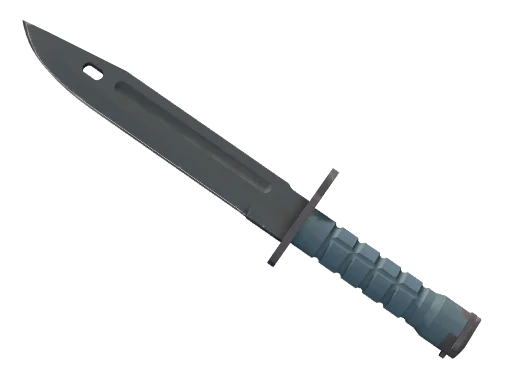 Bayonet | Night