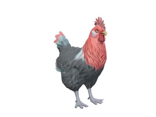 Pet Chicken | Catalana (Black With Red Head)