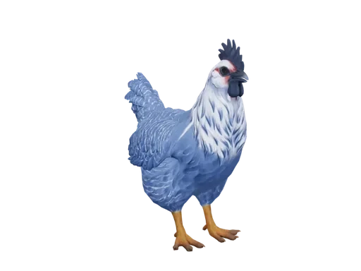 Pet Chicken | Catalana (Blue)