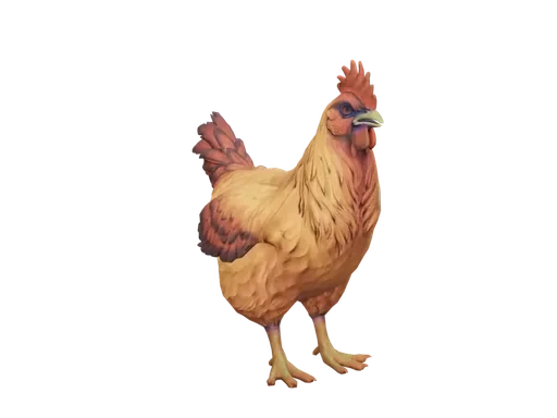 Pet Chicken | Catalana (Dark Orange)