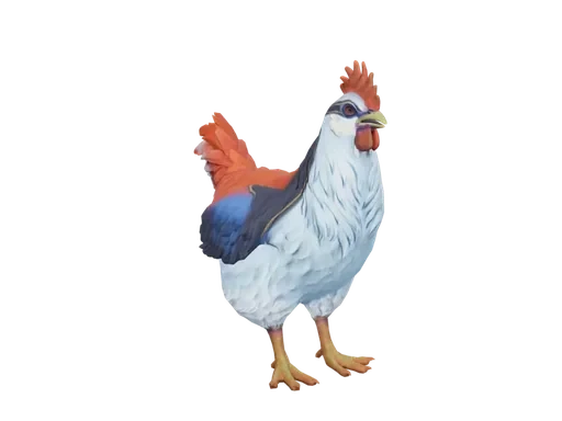 Pet Chicken | Catalana (Light Blue And Red)