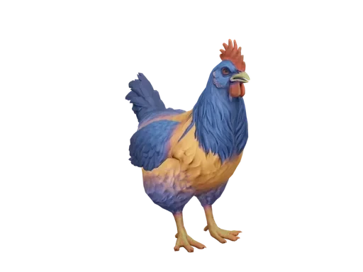 Pet Chicken | Catalana (Orange Blue Neck)