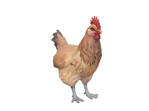 Pet Chicken | Catalana (Tan)