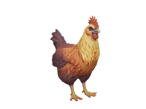 Pet Chicken | Catalana (Yellow Red Gradient)