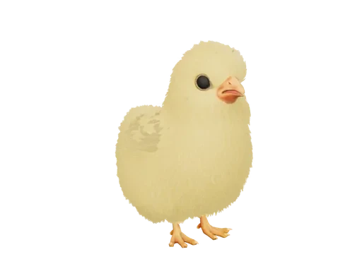 All Pets