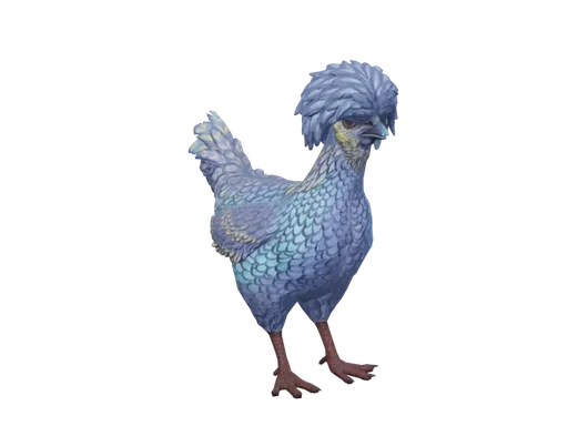 Pet Chicken | Polish (Blue Yellow)