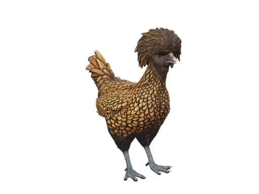 Pet Chicken | Polish (Brown With Black Wing Tips)