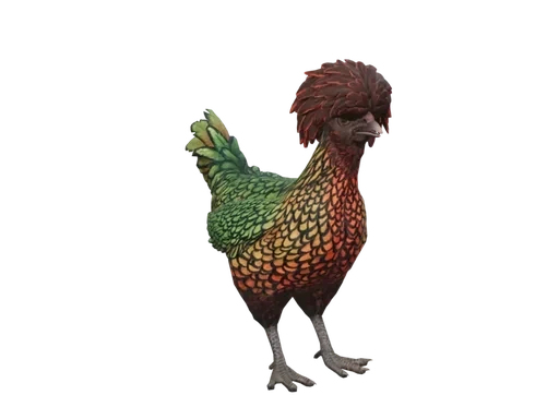 Pet Chicken | Polish (Green With Red Head)