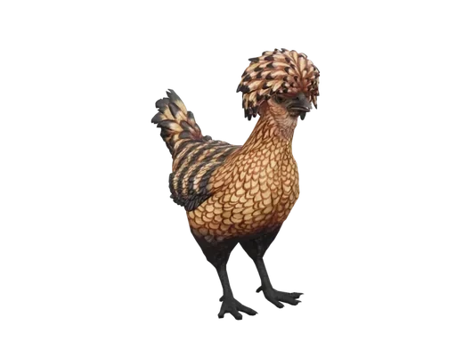 Pet Chicken | Polish (Orange With Black Stripes)