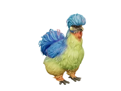 Pet Chicken | Silkie (Blue With Red Beard)