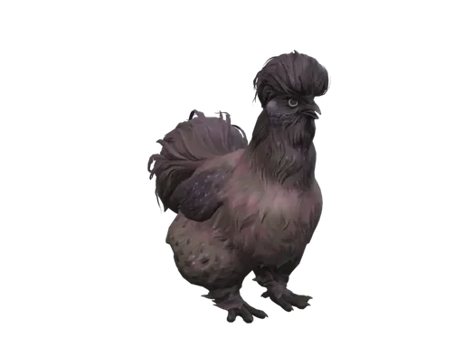 Pet Chicken | Silkie (Purple)