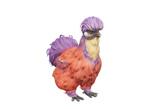 Pet Chicken | Silkie (Red Beetle)