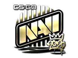 Natus Vincere (Gold) | 2020 RMR