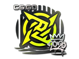 Ninjas in Pyjamas | 2020 RMR