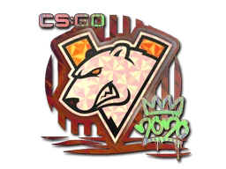 Virtus.pro (Holo) | 2020 RMR