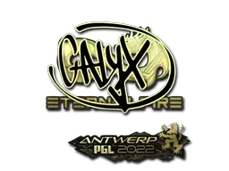 Calyx (Gold) | Antwerp 2022