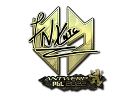 fnx (Gold) | Antwerp 2022