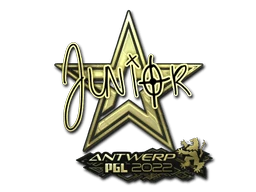 junior (Gold) | Antwerp 2022
