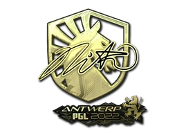 nitr0 (Gold) | Antwerp 2022