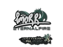 imoRR | Antwerp 2022