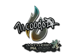 nicoodoz | Antwerp 2022