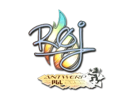 roeJ (Holo) | Antwerp 2022