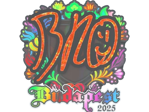 br0 (Holo) | Budapest 2025