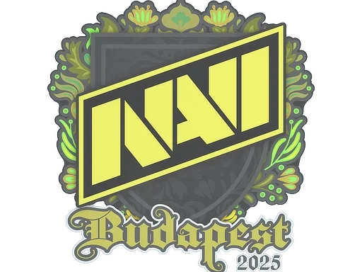 Natus Vincere | Budapest 2025