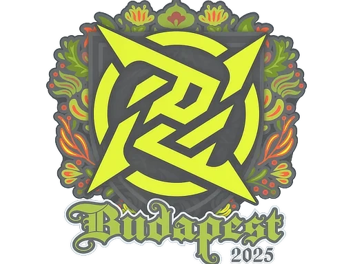 Ninjas in Pyjamas | Budapest 2025