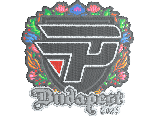paiN Gaming (Embroidered) | Budapest 2025