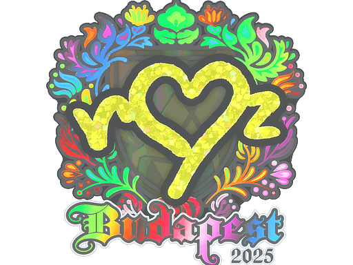 ropz (Holo) | Budapest 2025