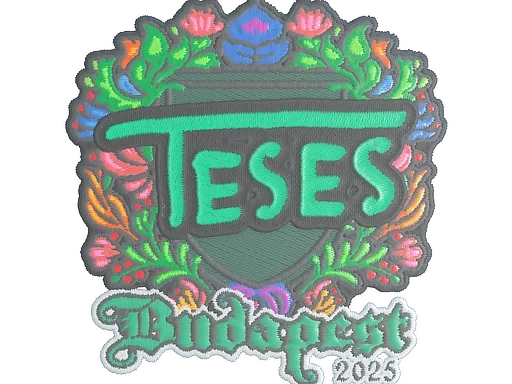 TeSeS (Embroidered) | Budapest 2025