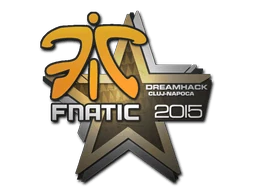 Fnatic | Cluj-Napoca 2015