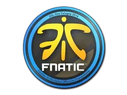 Fnatic | Cologne 2014