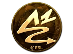 ANGE1 (Gold) | Katowice 2019