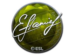 flamie (Foil) | Katowice 2019