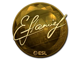 flamie (Gold) | Katowice 2019