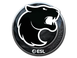 FURIA (Foil) | Katowice 2019