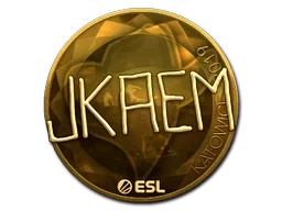 jkaem (Gold) | Katowice 2019