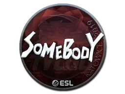 somebody (Foil) | Katowice 2019