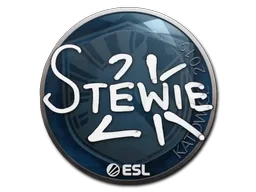 Stewie2K | Katowice 2019