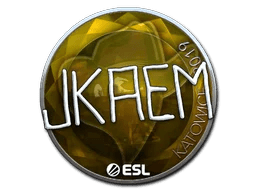 jkaem (Foil) | Katowice 2019