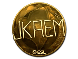 jkaem (Gold) | Katowice 2019