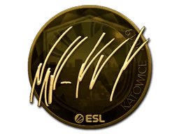 NAF (Gold) | Katowice 2019