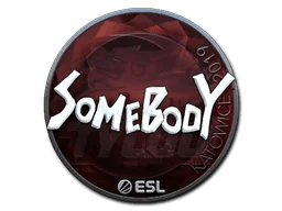 somebody (Foil) | Katowice 2019