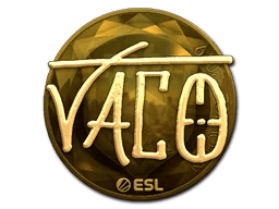 TACO (Gold) | Katowice 2019