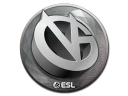 ViCi Gaming | Katowice 2019