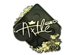 Ax1Le (Gold) | Rio 2022